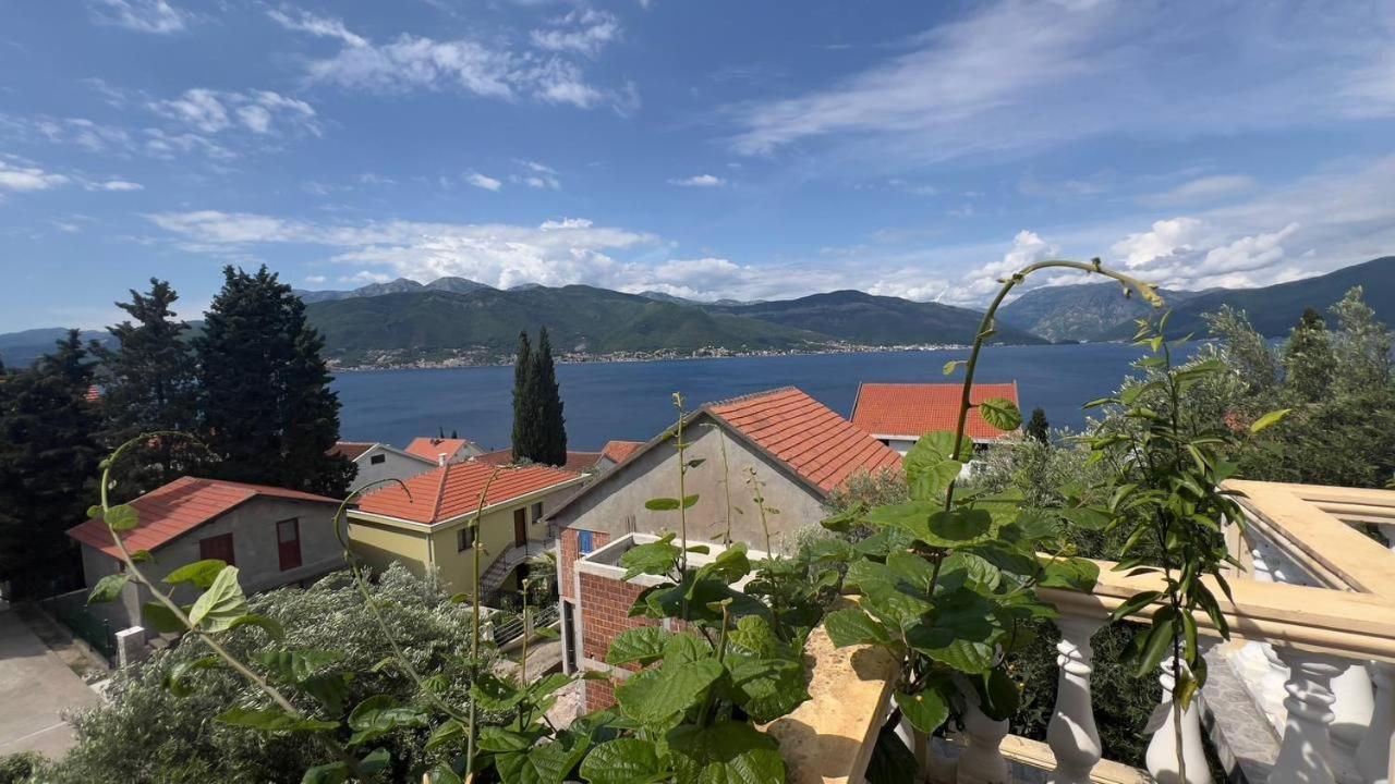 Apartments Arina Krasići Bagian luar foto